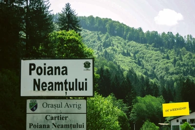 Descoperă frumusețea Poienii Neamțului