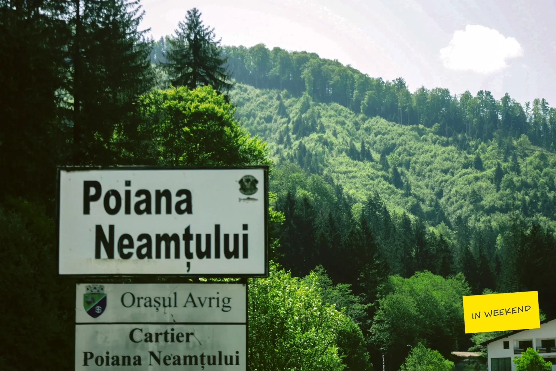 Descoperă frumusețea Poienii Neamțului